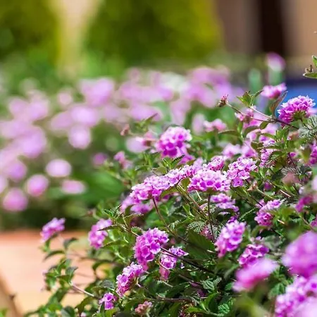 홀리데이파크 Mar Da